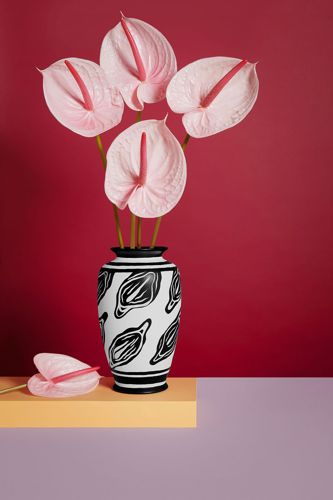 the origin of blossom 3