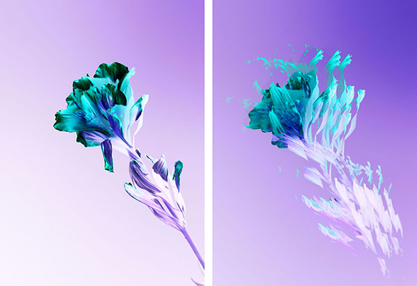 Georges-Perec_Die_Dinge