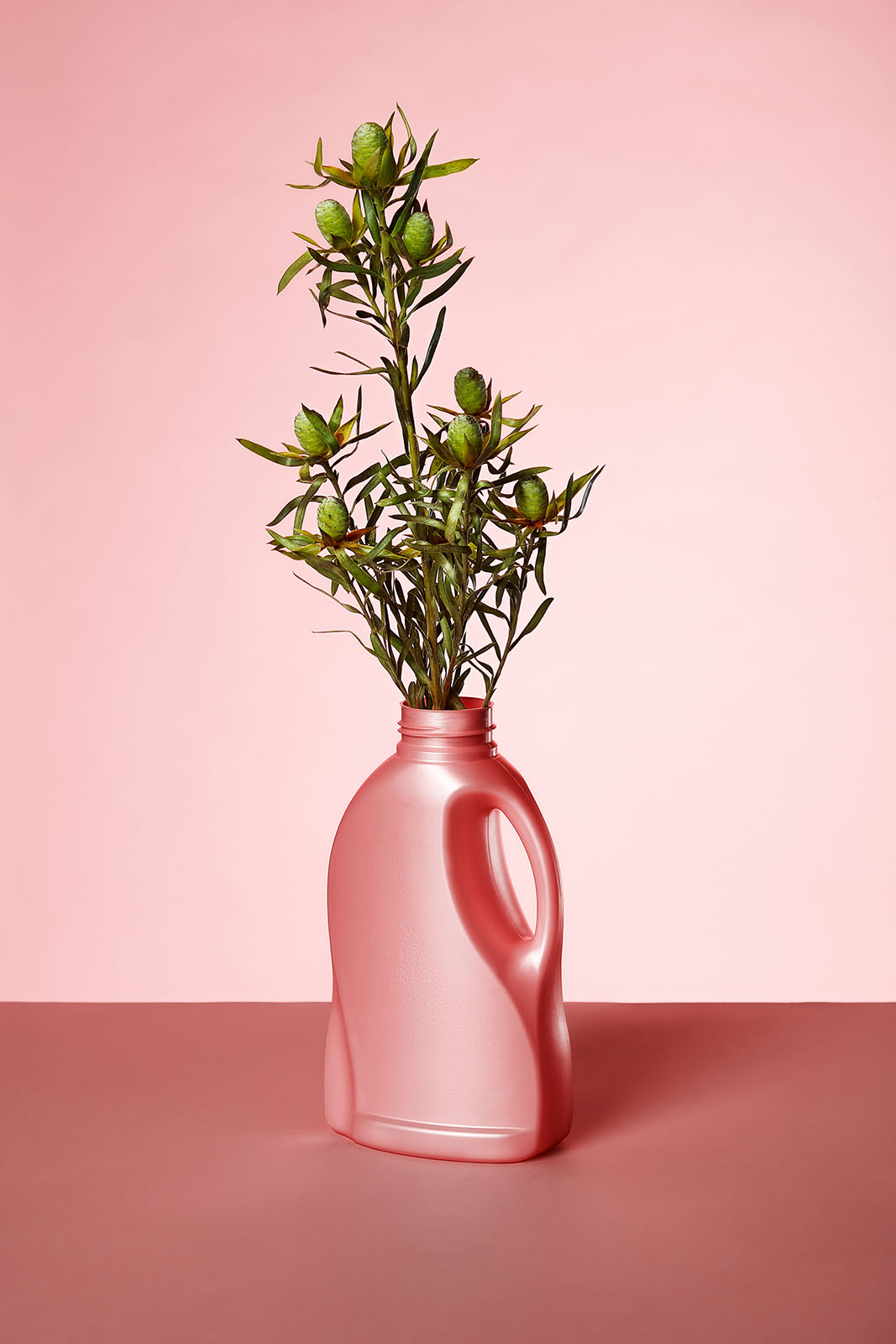 Das Foto zeigt eine rosa Plastikflasche, die zweckentfremdet als Vase verwendet wird. Aus der geöffneten Flasche ragen grüne Knollen und Stängel raus. Die Szene ist minimalistisch inszeniert: Die Flasche steht auf einer dunkel rosa Fläche, der Hintergrund ist in einem hellen Rosa gehalten. Das Bild verbindet Alltagsgegenstand und Natur zu einem modernen Stillleben mit humorvoller Note.