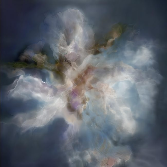 Abstraktes, blütenähnliches Gebilde.