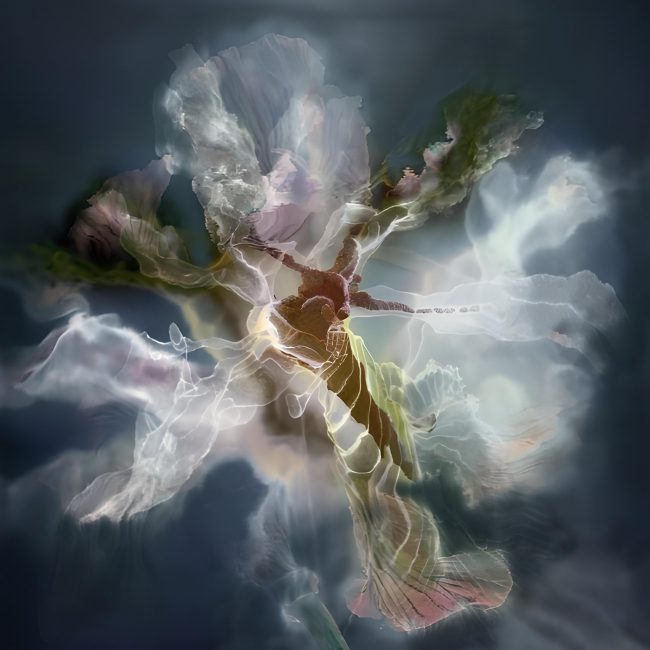 Abstraktes, blütenähnliches Gebilde.