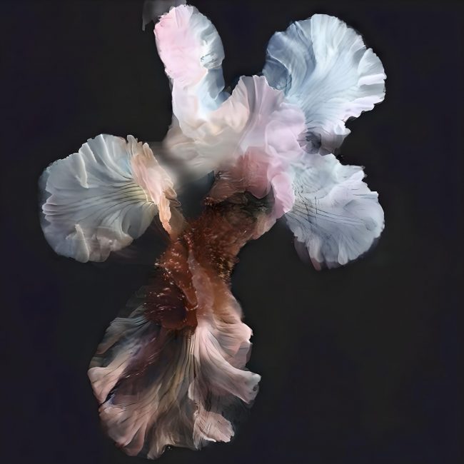 Abstraktes, blütenähnliches Gebilde.