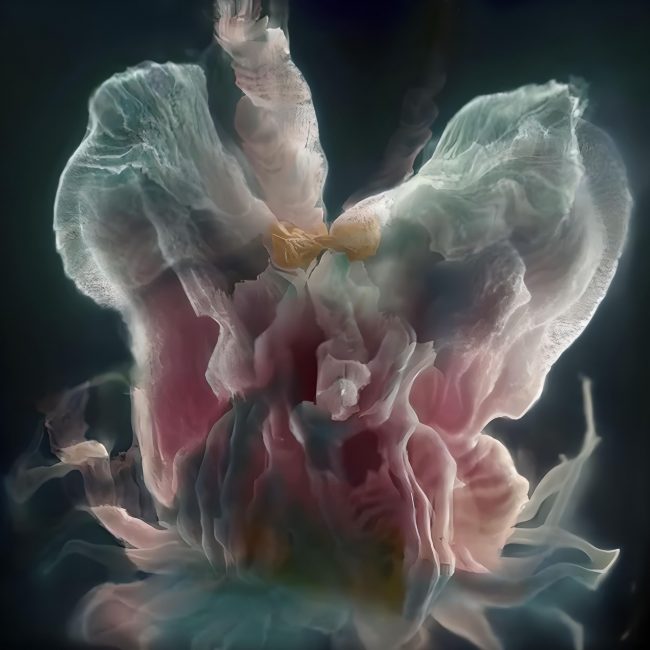 Abstraktes, blütenähnliches Gebilde aus weichen, durchscheinenden Formen in Rosa-, Blau- und Cremetönen vor dunklem Hintergrund.