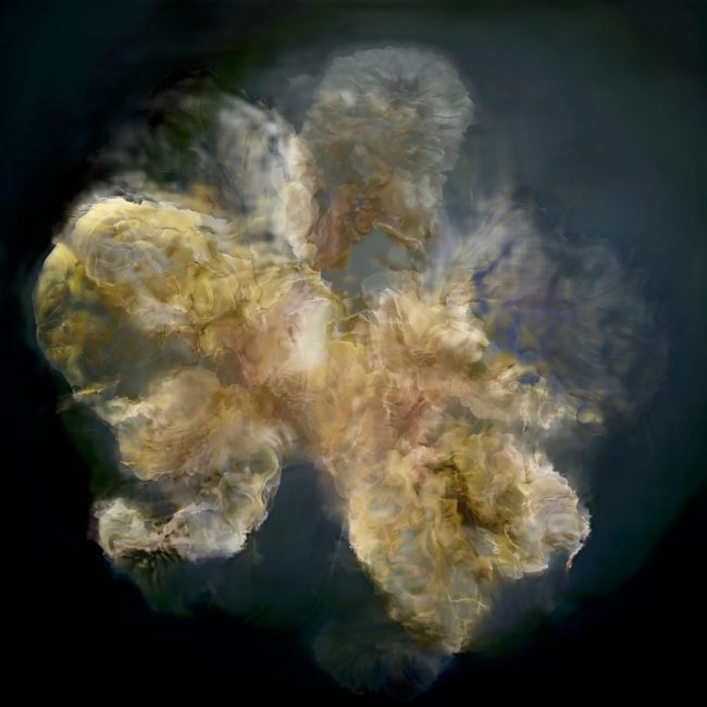 neue chromosome Ovid Metamorphosen