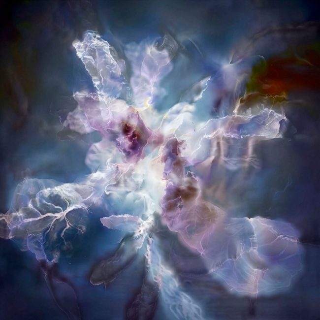 Abstraktes, blütenähnliches Gebilde.