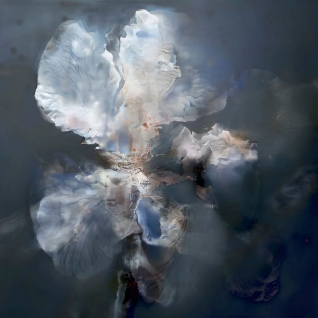 Abstraktes, blütenähnliches Gebilde.