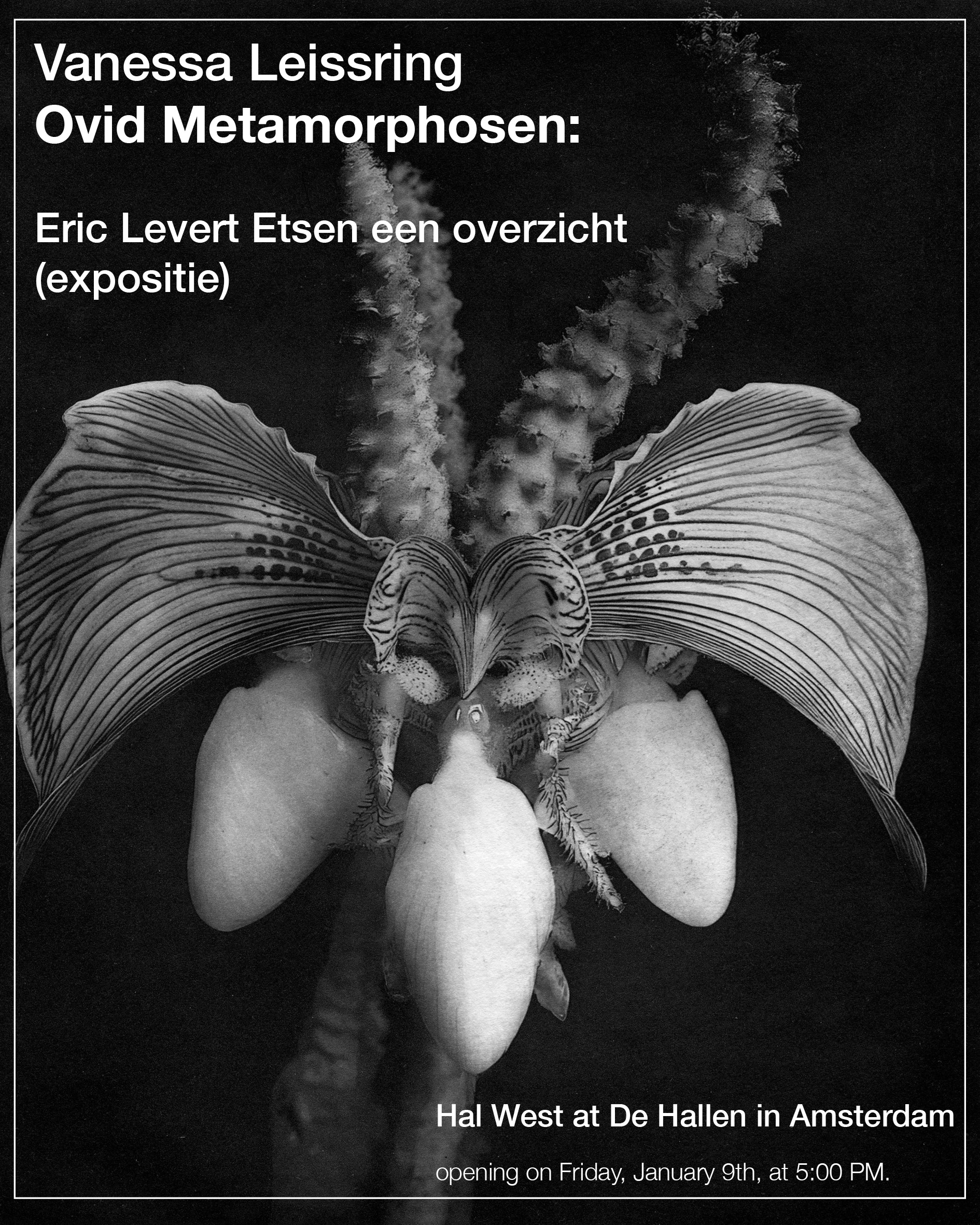 Ovid Metamorphosen Flyer2